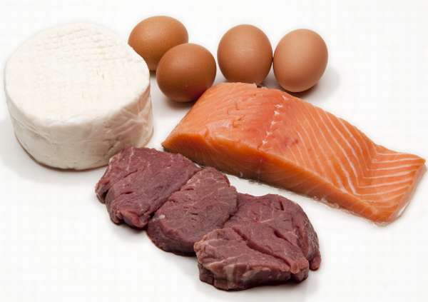 Основные правила белковых диет