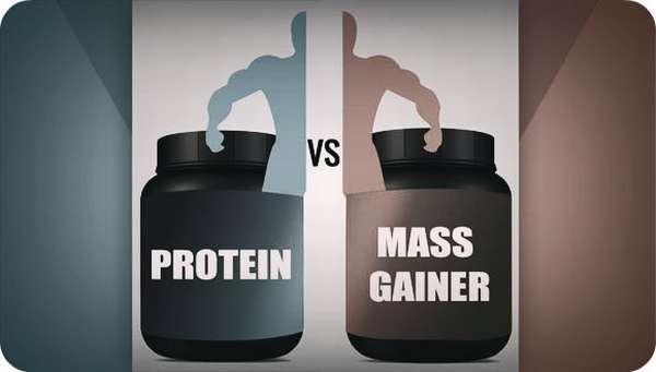 Протеин и гейнер в чем разница