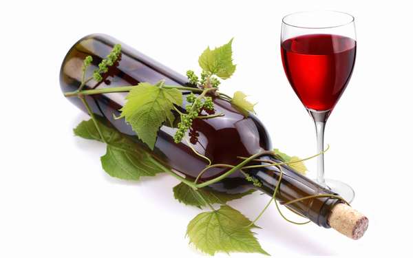 Красное вино полезно для лёгких