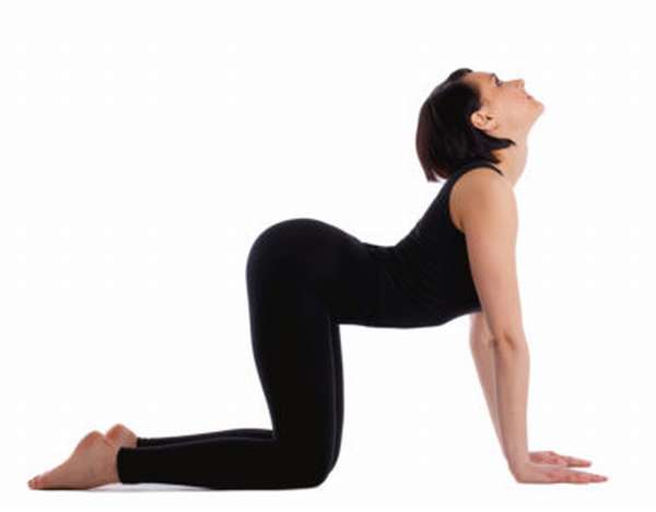 Разгибательные мышцы спины упражнения
