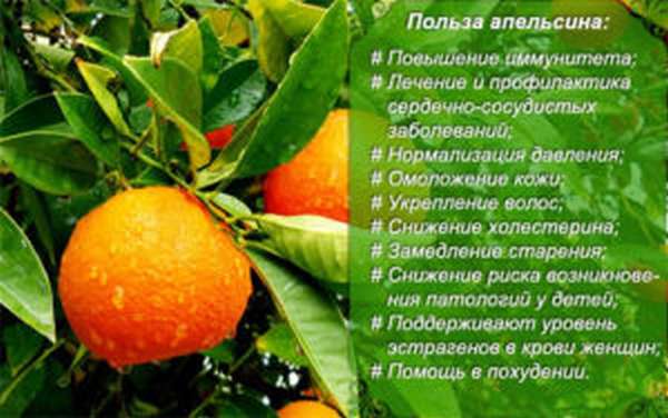 Полезные свойства апельсинов2
