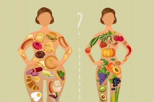 Влияние диеты на метаболизм организма