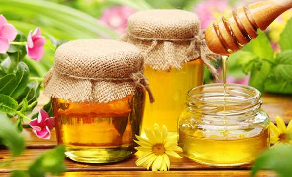 Можно ли заменить сахар медом при похудении