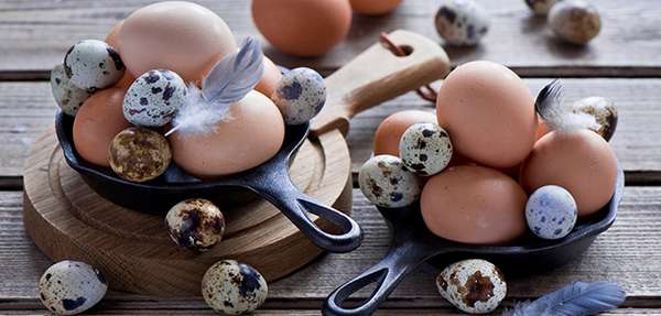 Вред перепелиных яиц