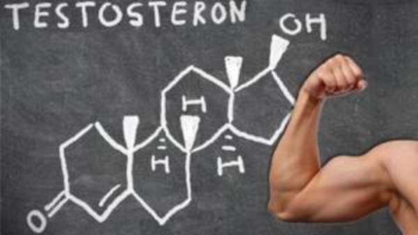 История стероидов